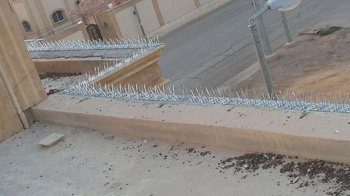 شركة تركيب طارد حمام بالعلا